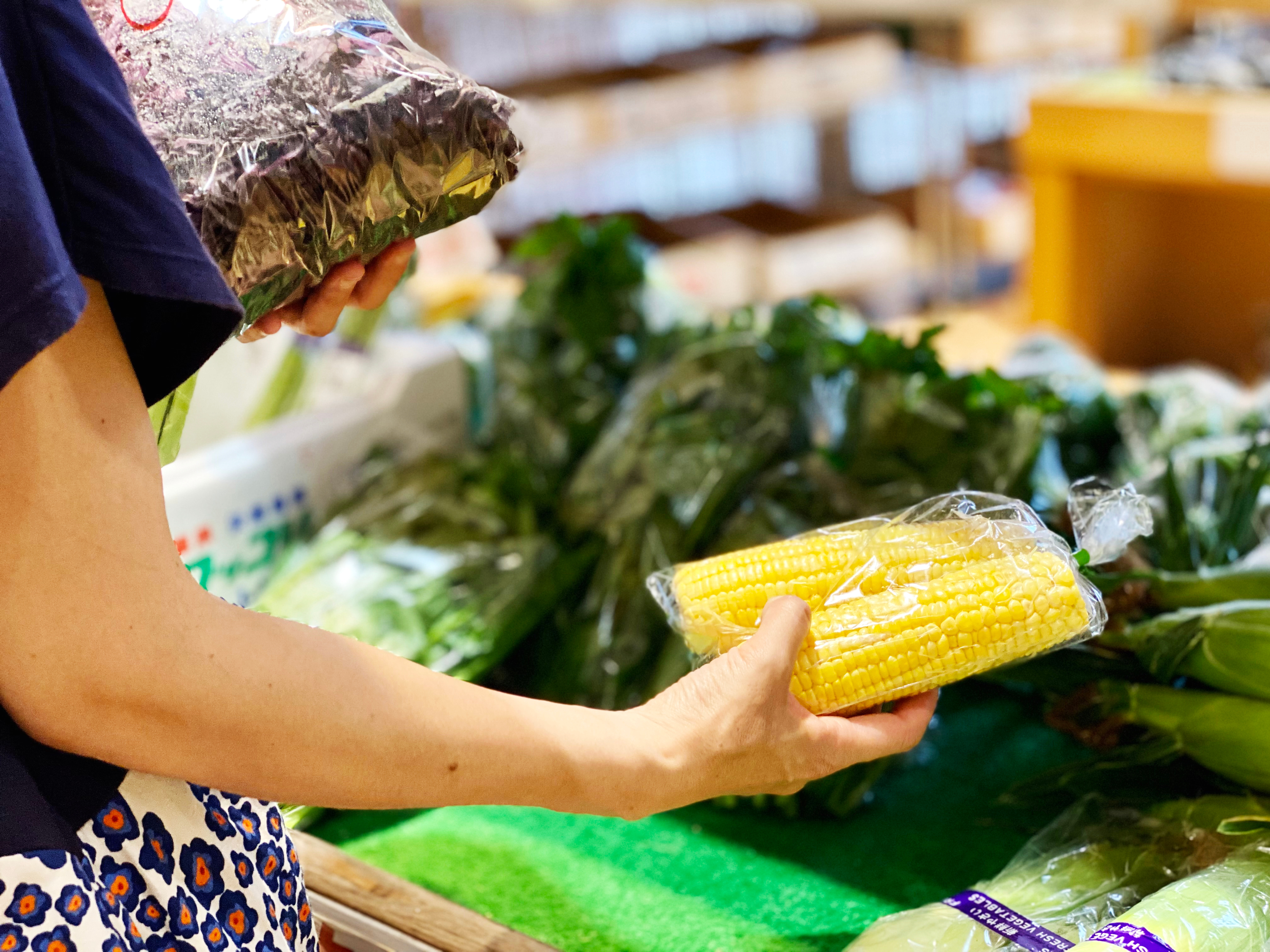 AdobeStock_450225730