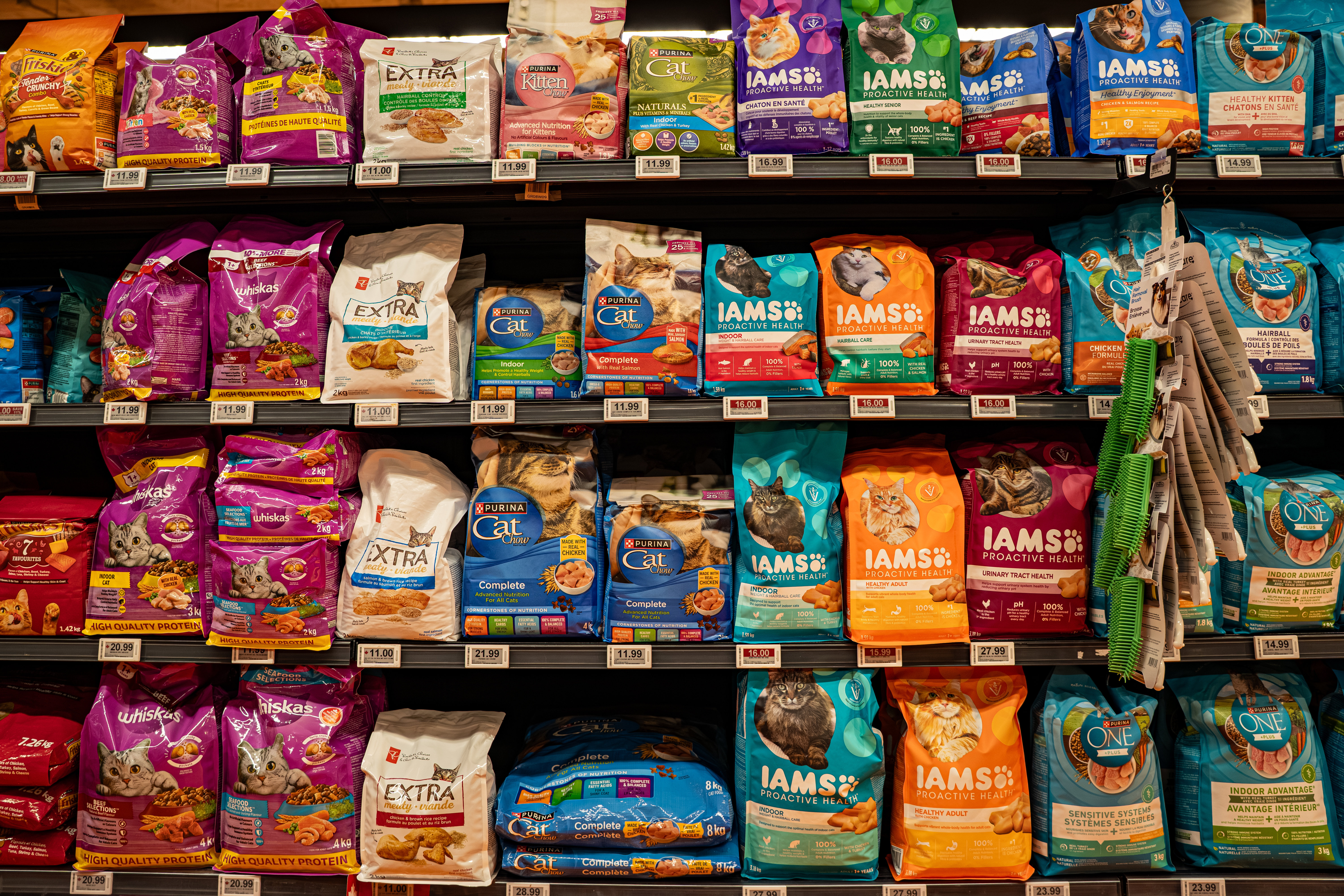 Adobe Stock mercado pet