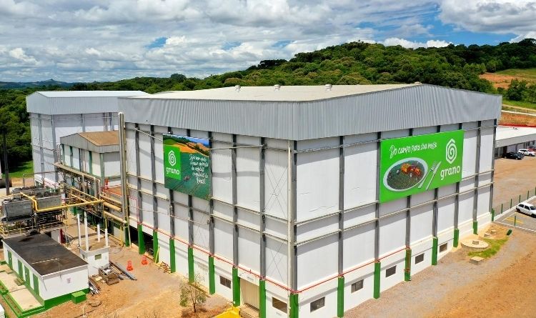 Grano Alimentos