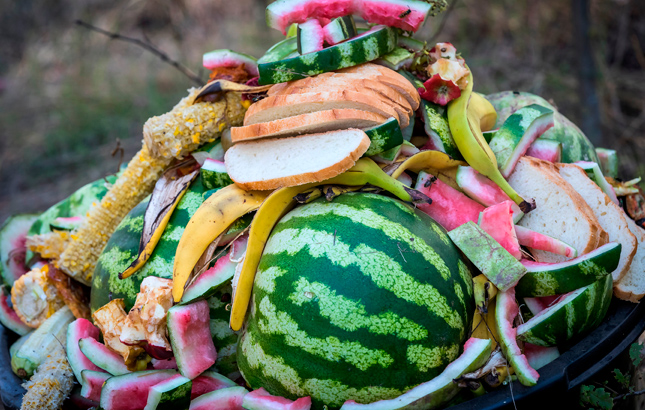 Desperdício de comida pode chegar a US$ 1,5 trilhão no mundo em 2030