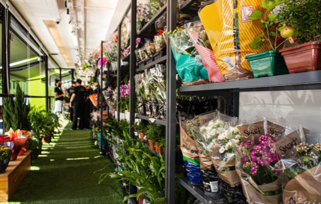 Saiba como redes estão aumentando sua rentabilidade com a seção de flores e plantas